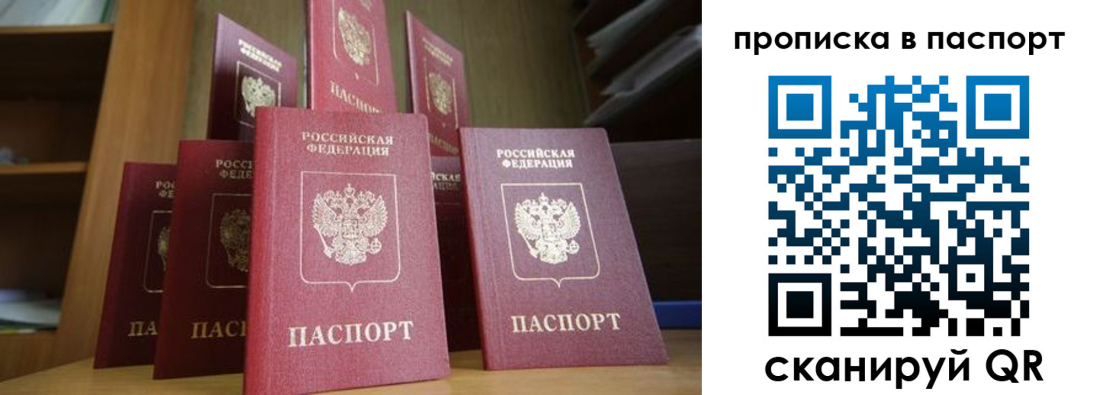 прописка законно в Кирсанове