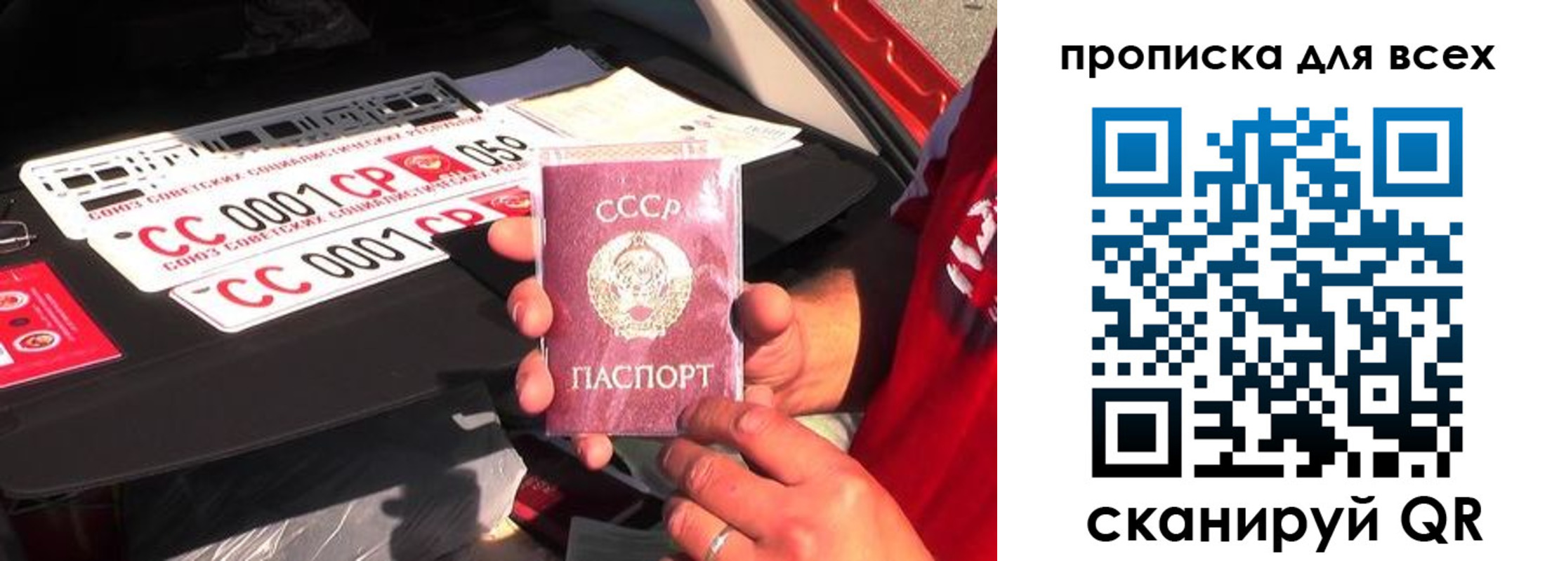 прописка для школы в Кирсанове